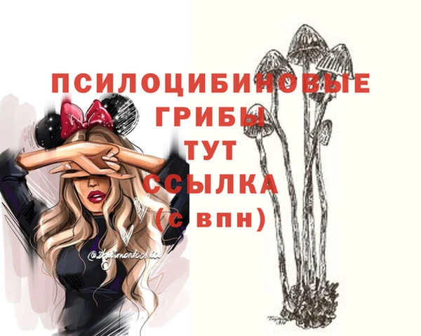 индика Алексеевка