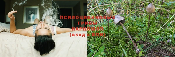 мет Алзамай