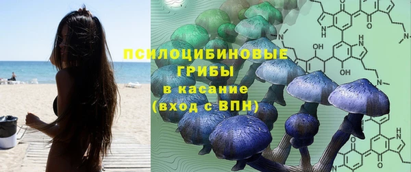 индика Алексеевка